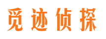 靖西侦探社